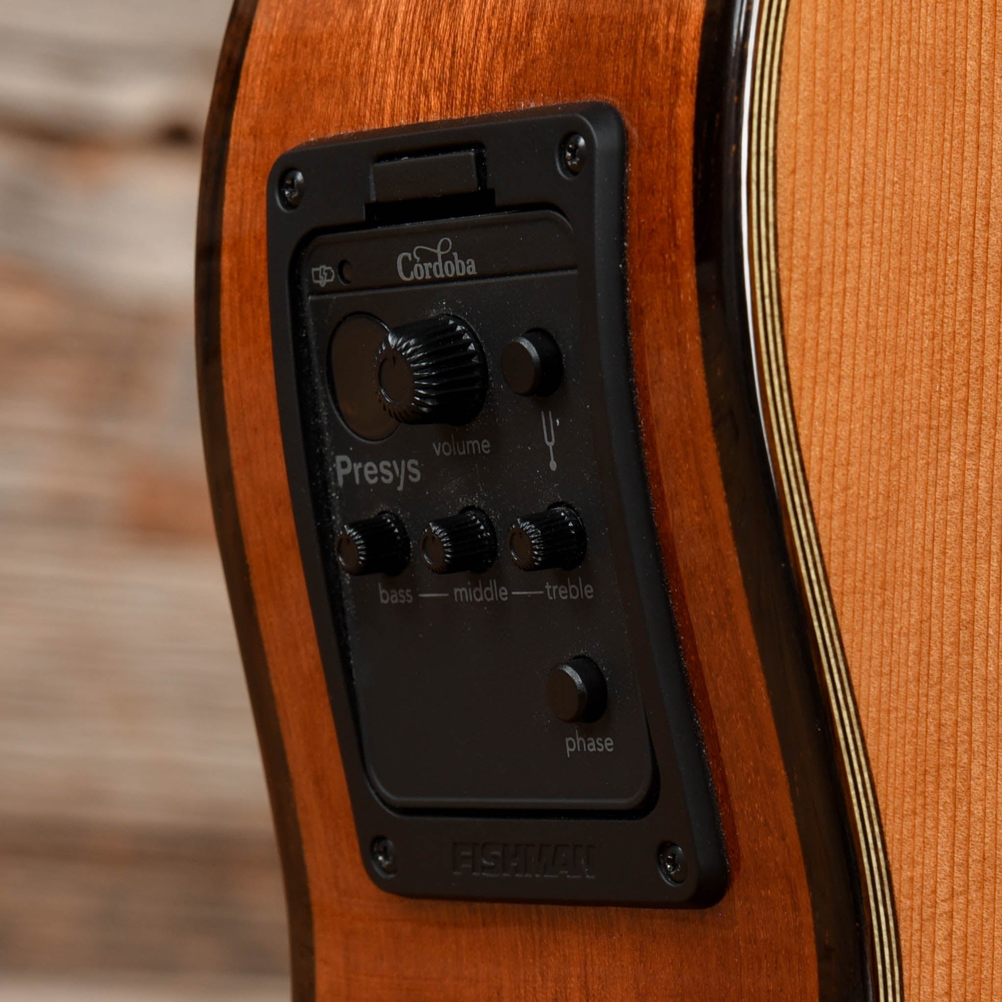 Cordoba Fusion 12 Natural Acoustic Guitars / Classical