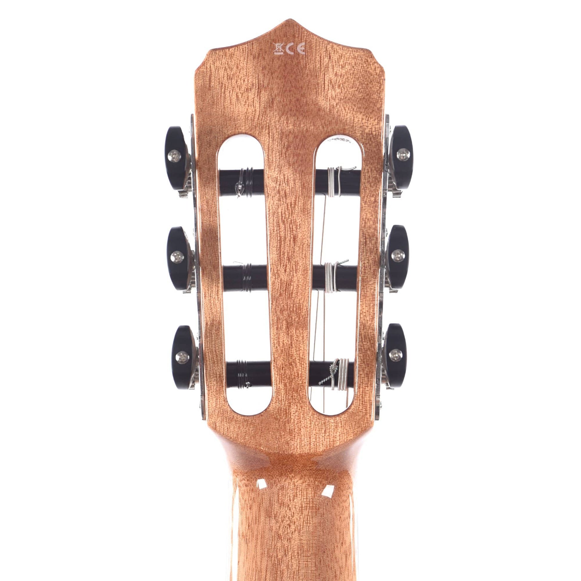 Cordoba Fusion 14 Maple Classical Guitar Acoustic Guitars / Classical