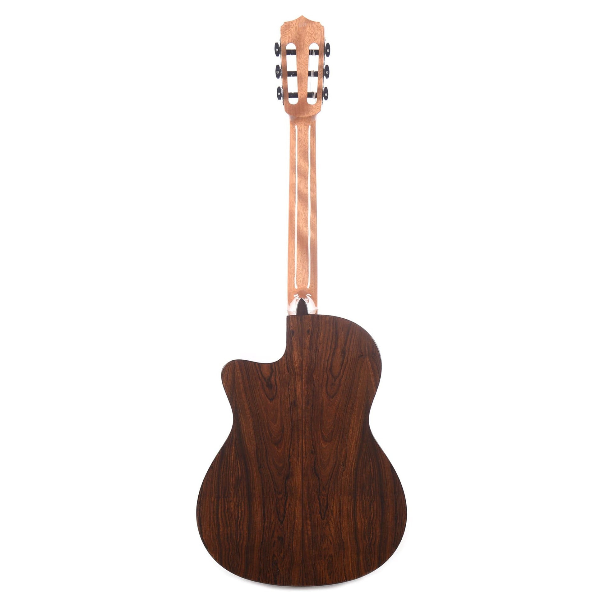 Cordoba Fusion 5 Limited Edition Bocote Natural Acoustic Guitars / Classical