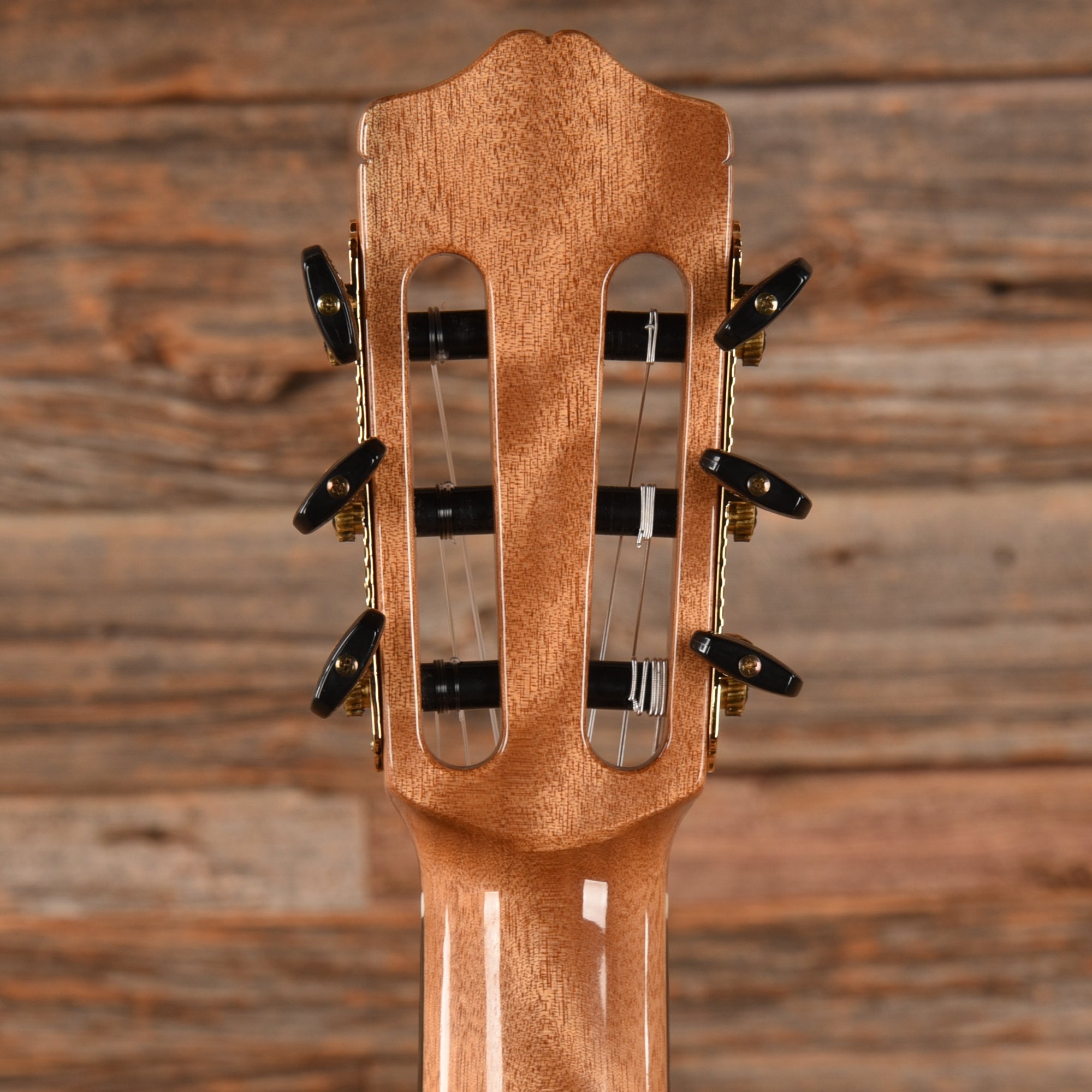 Cordoba GK Studio Natural Acoustic Guitars / Classical