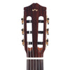 Cordoba Iberia Series C7-CD Cedar/Indian Rosewood Classical Guitar Acoustic Guitars / Classical