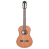 Cordoba Iberia Series Cadete 3/4 Size Classical Guitar Acoustic Guitars / Classical