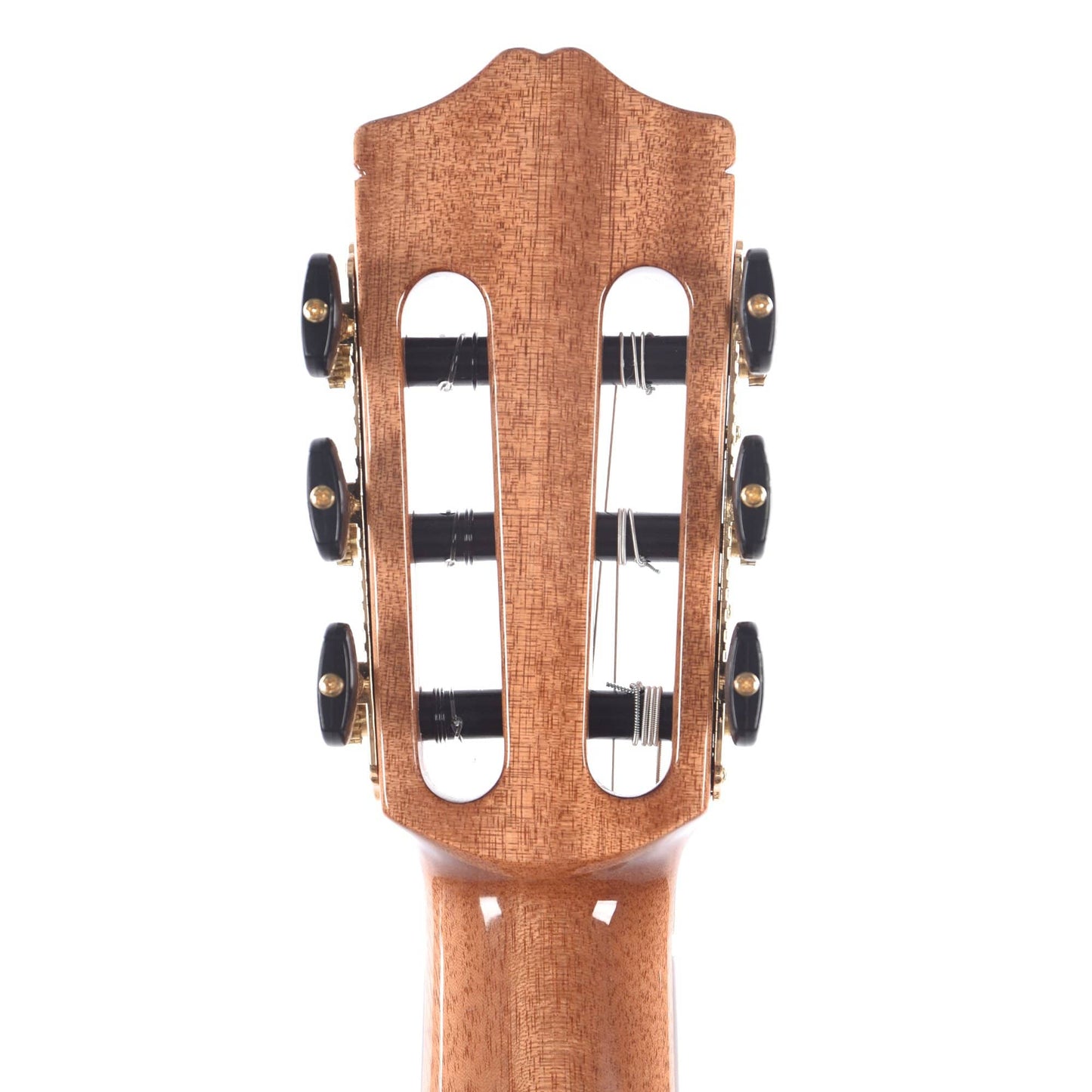 Cordoba Iberia Series GK Studio Limited European Spruce/Ziricote Acoustic Guitars / Classical