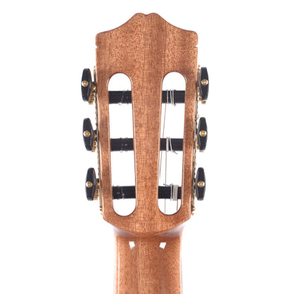 Cordoba Iberia Series GK Studio Limited European Spruce/Ziricote Acoustic Guitars / Classical