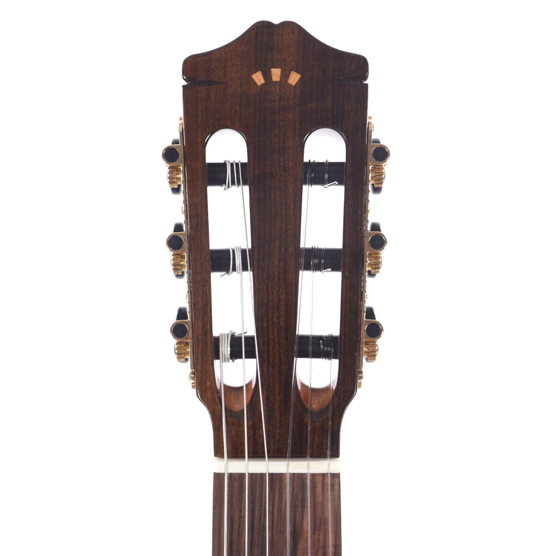 Cordoba Iberia Series GK Studio Limited European Spruce/Ziricote Acoustic Guitars / Classical