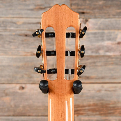 Cordoba Limited Edition 45LTD Acoustic Guitars / Classical