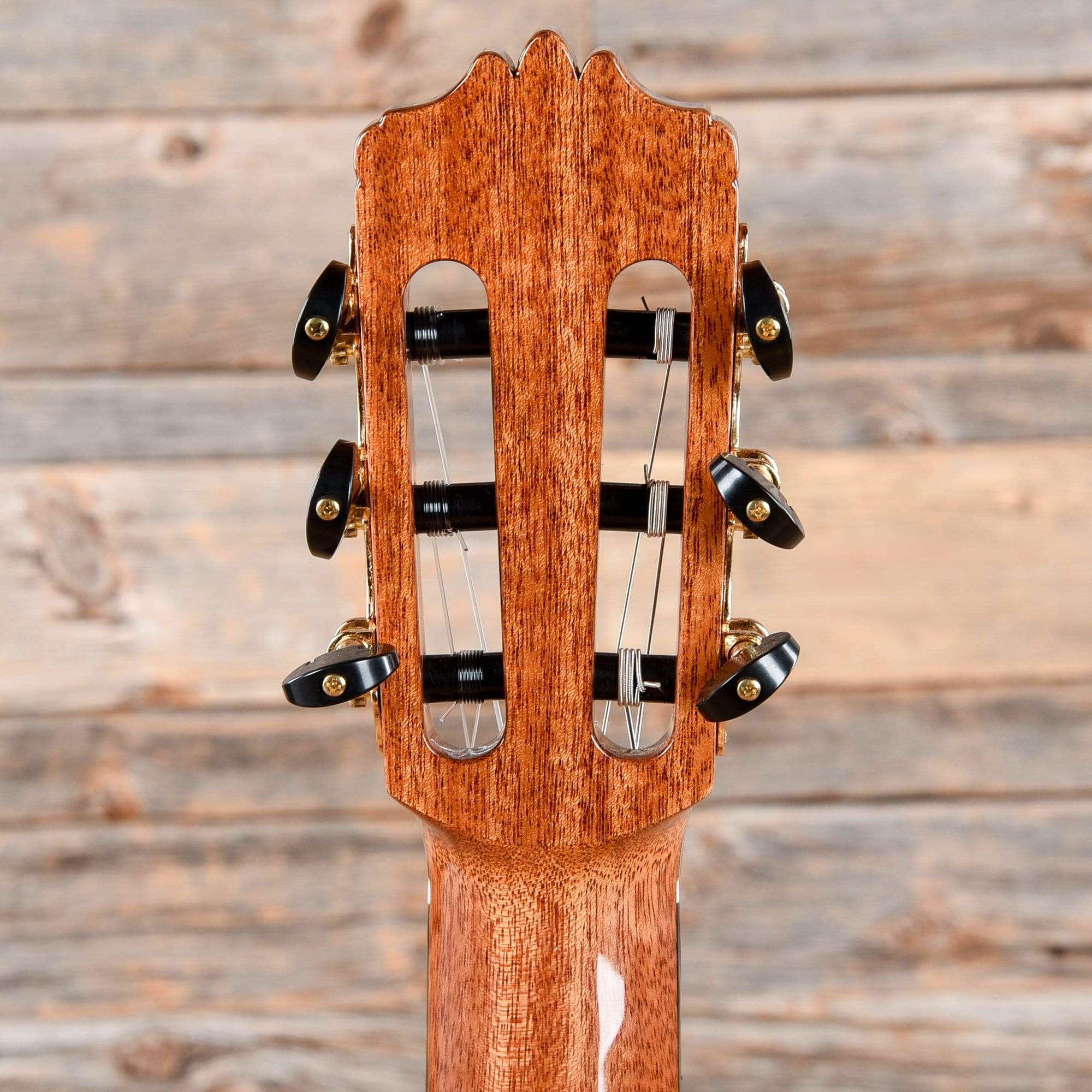 Cordoba Luthier Series C12-CD Cedar Top Acoustic Guitars / Classical