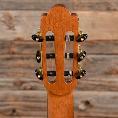 Cordoba Master Series Torres Italian Spruce & Flamed Mahogany Limited Edition Acoustic Guitars / Classical