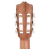Cordoba Protege C1 Matiz Classical Aqua Acoustic Guitars / Classical