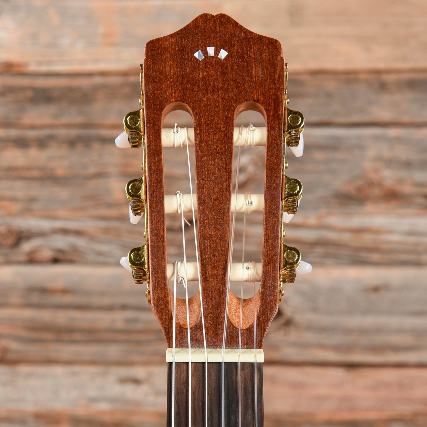 Cordoba Protégé C1M 3/4 Size Classical Natural Acoustic Guitars / Classical