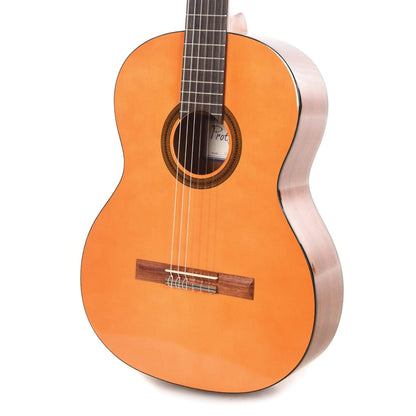 Cordoba Protege Series C1 Classical Guitar Acoustic Guitars / Classical