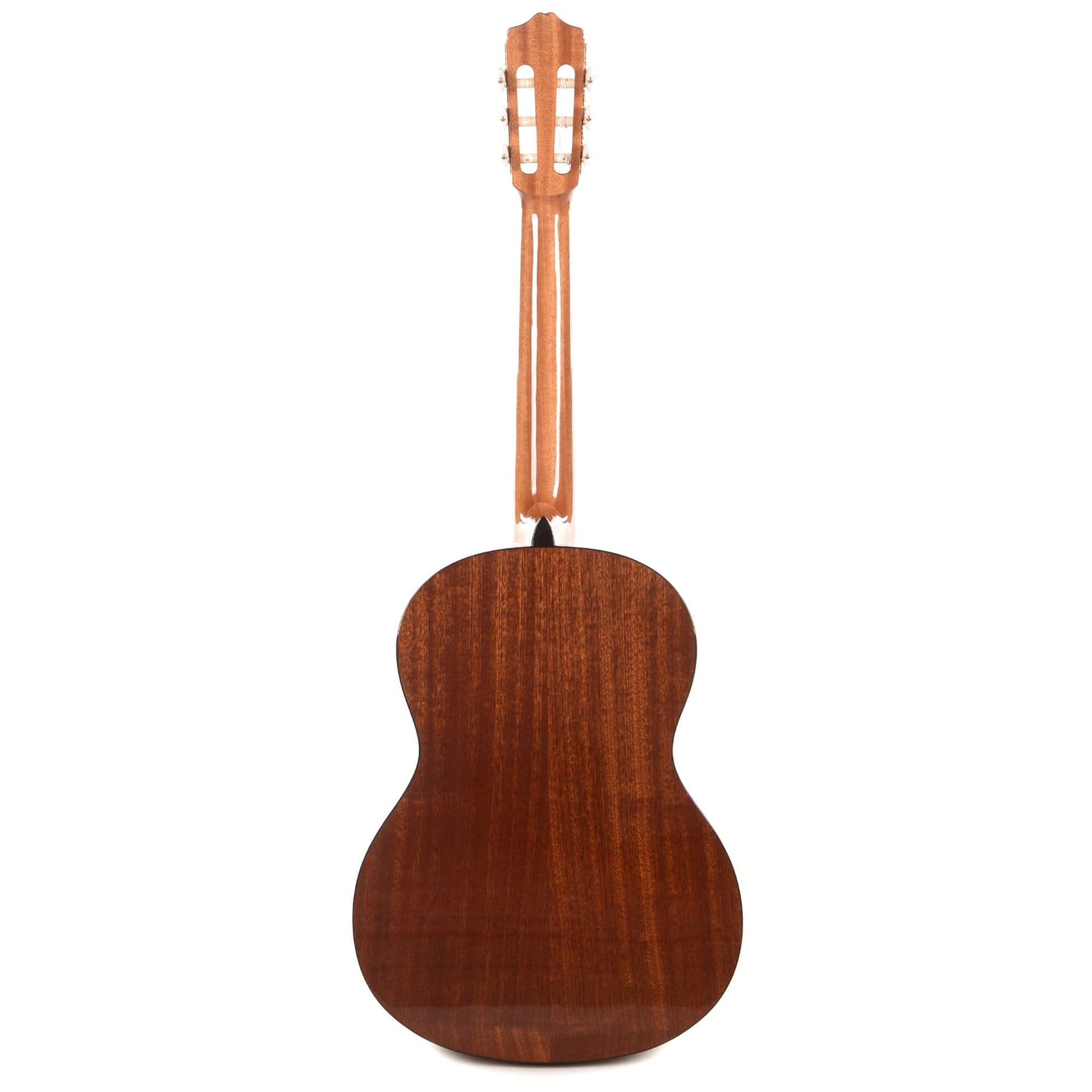 Cordoba Protege Series C1 Classical Guitar Acoustic Guitars / Classical