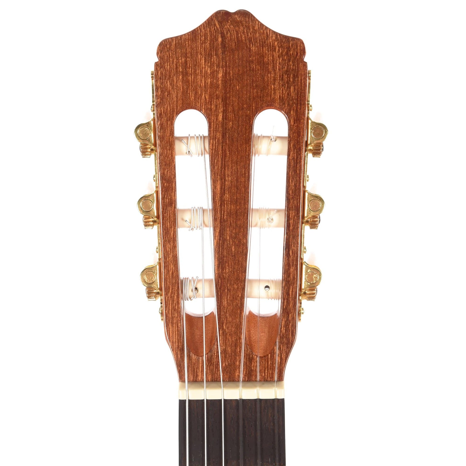 Cordoba Protege Series C1 Classical Guitar Acoustic Guitars / Classical