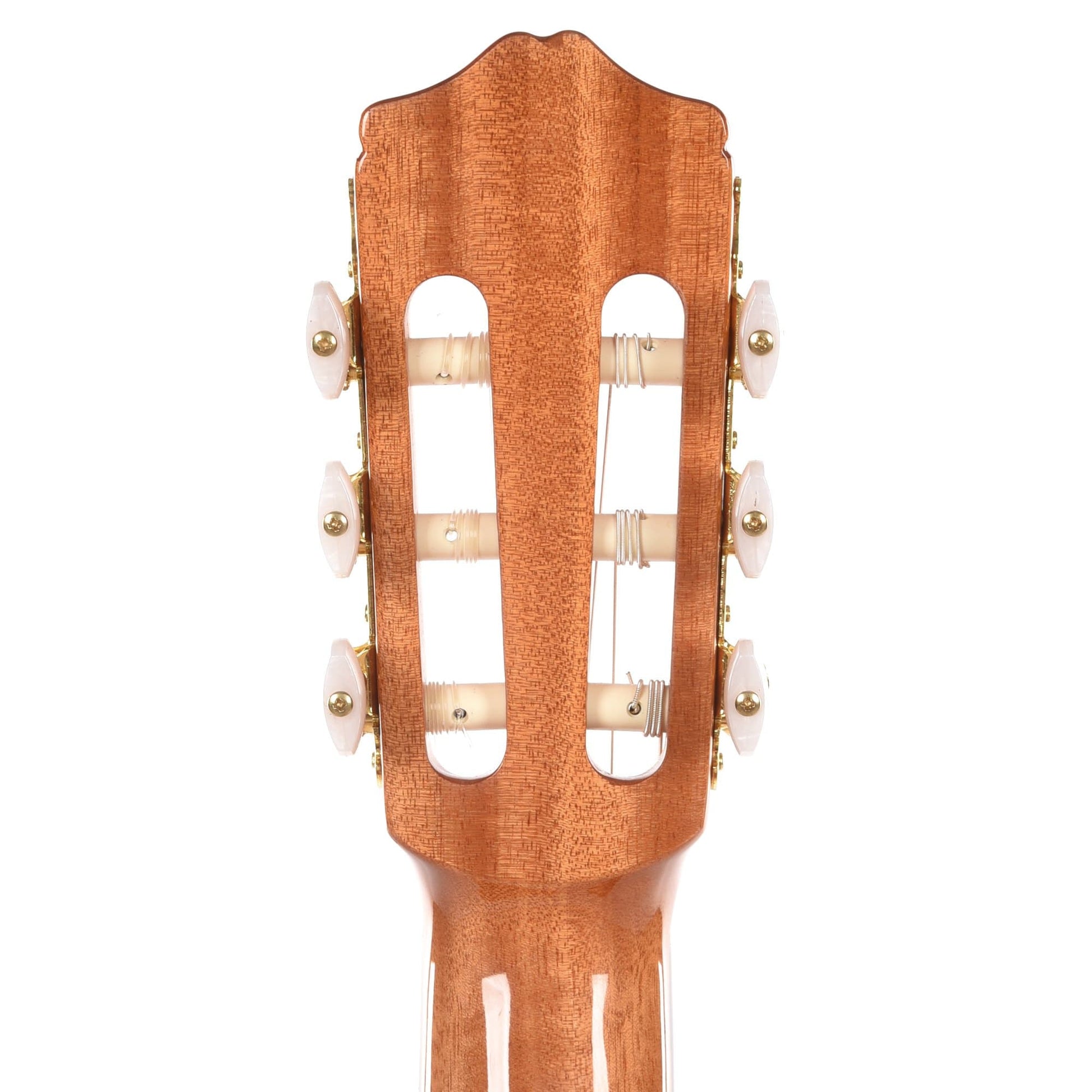 Cordoba Protege Series C1 Classical Guitar Acoustic Guitars / Classical