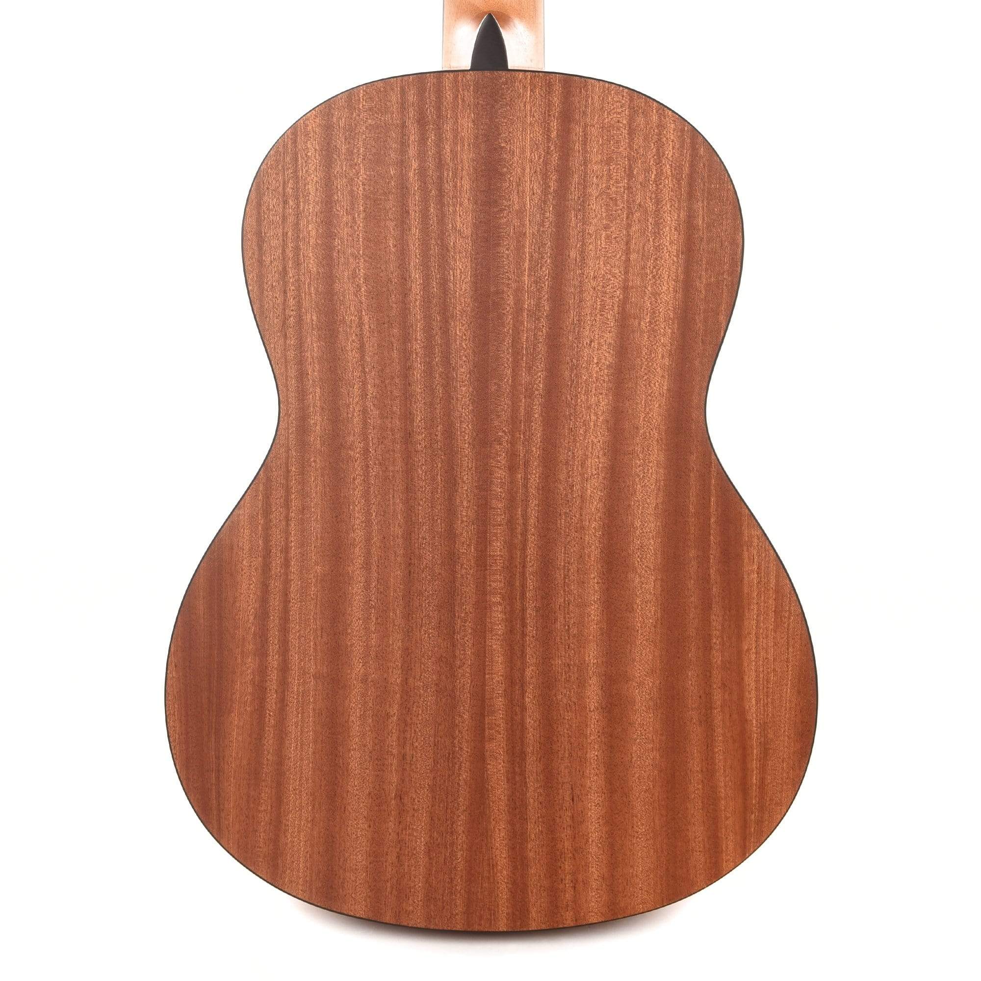 Cordoba Protege Series C1M Classical Guitar Acoustic Guitars / Classical