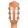 Cordoba Protege Series C1M Classical Guitar Acoustic Guitars / Classical
