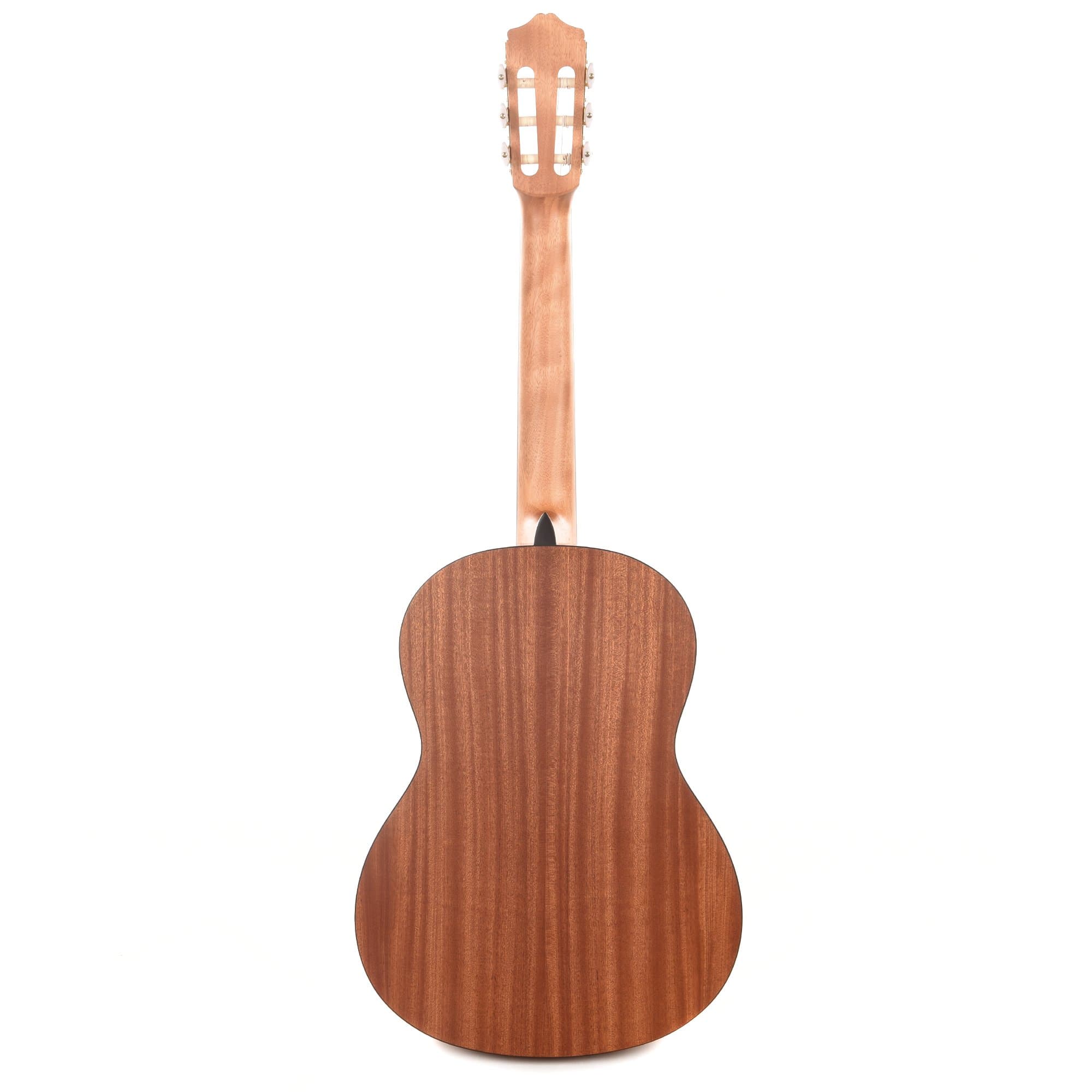 Cordoba Protege Series C1M Classical Guitar Acoustic Guitars / Classical