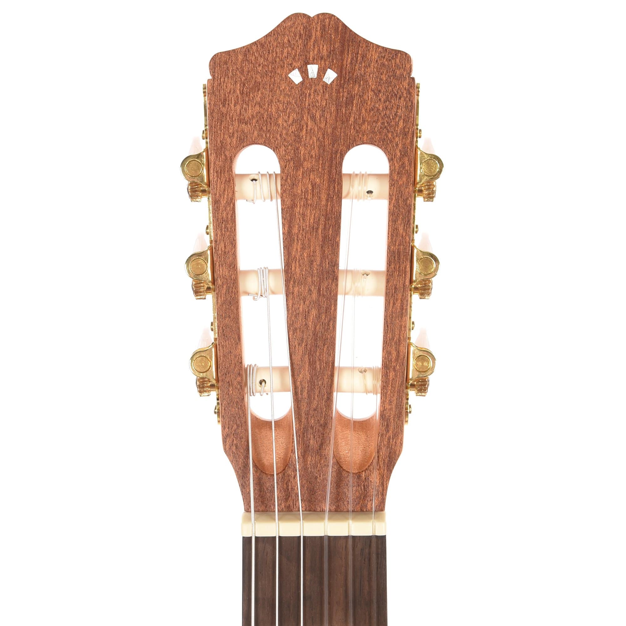 Cordoba Protege Series C1M Classical Guitar Acoustic Guitars / Classical