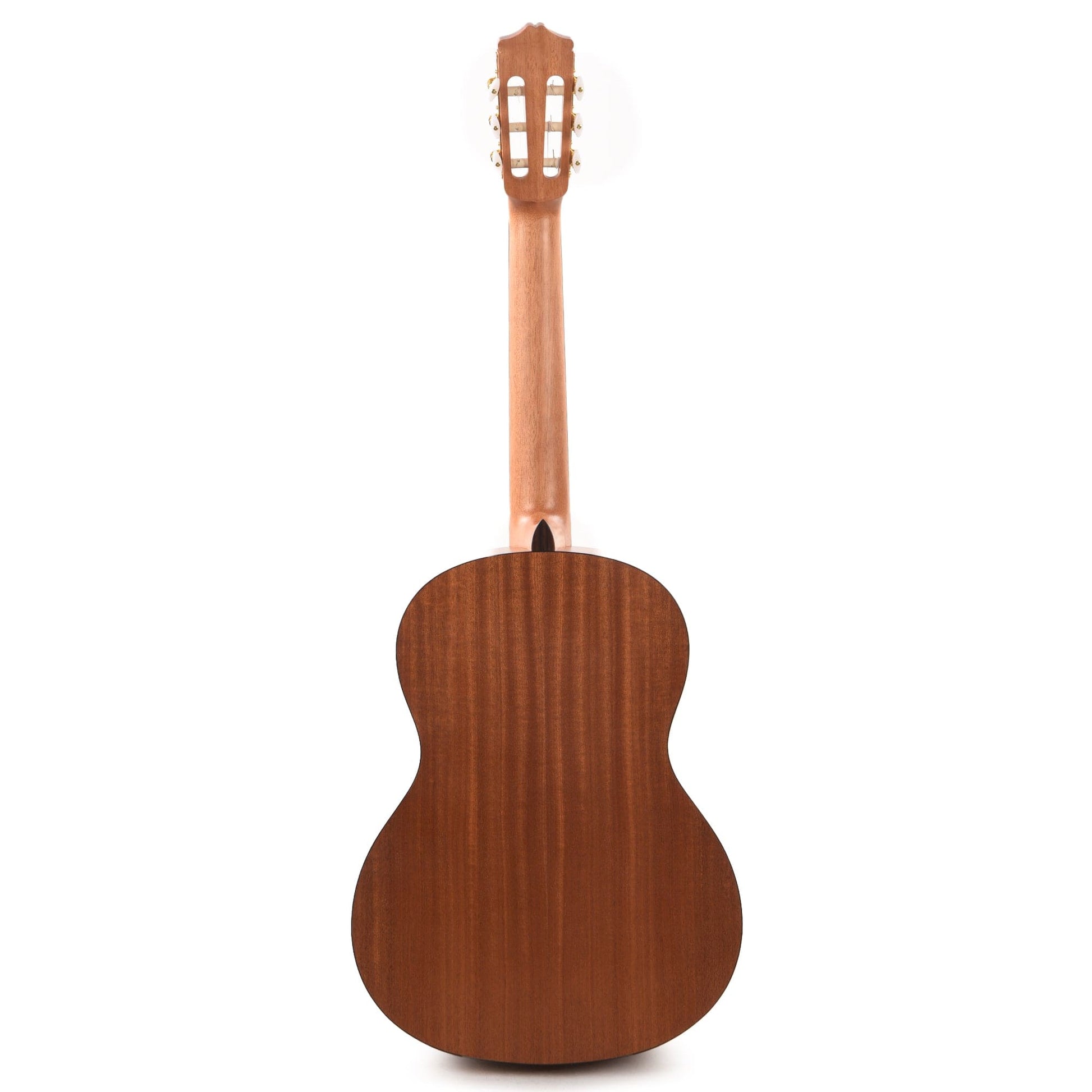 Cordoba Protege Series C1M Classical Guitar Acoustic Guitars / Classical