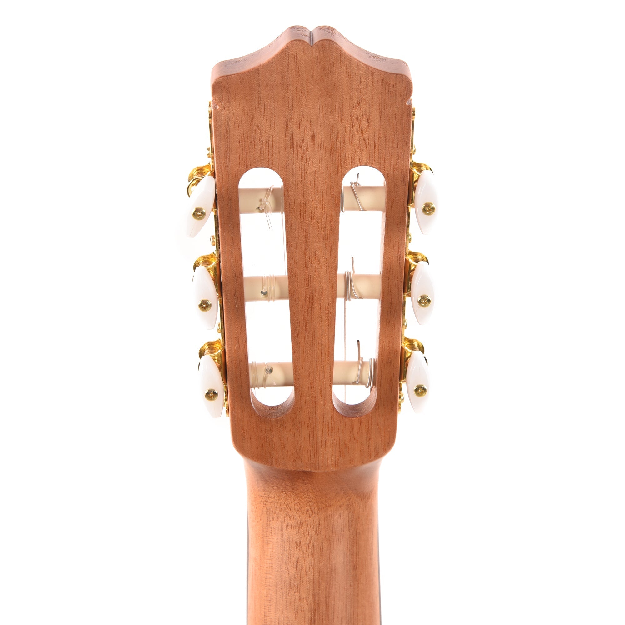 Cordoba Protege Series C1M Classical Guitar Acoustic Guitars / Classical