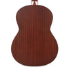 Cordoba Protege Series CP100 Guitar Pack Acoustic Guitars / Classical