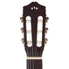 Cordoba Protege Series CP100 Guitar Pack Acoustic Guitars / Classical