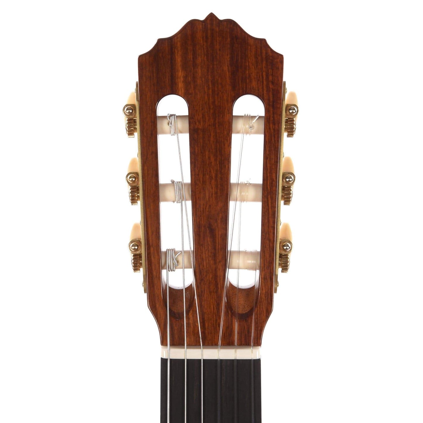 Cordoba Esteso European Spruce/Pau Ferro Natural Acoustic Guitars / Concert