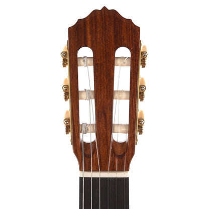 Cordoba Esteso European Spruce/Pau Ferro Natural Acoustic Guitars / Concert