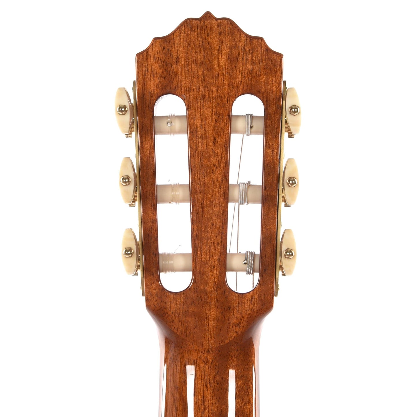 Cordoba Esteso European Spruce/Pau Ferro Natural Acoustic Guitars / Concert