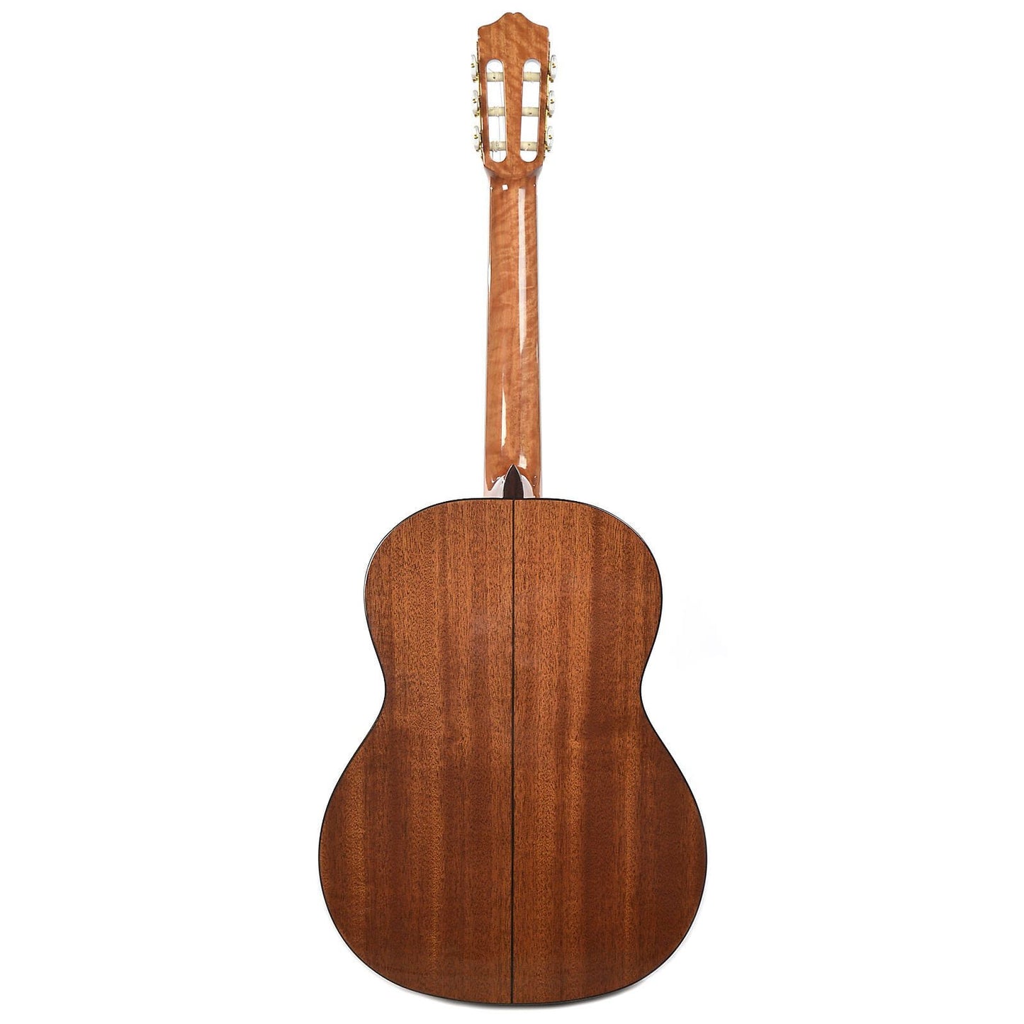 Cordoba C5 Left Handed Cedar & Mahogany Classical Guitar Acoustic Guitars / Left-Handed