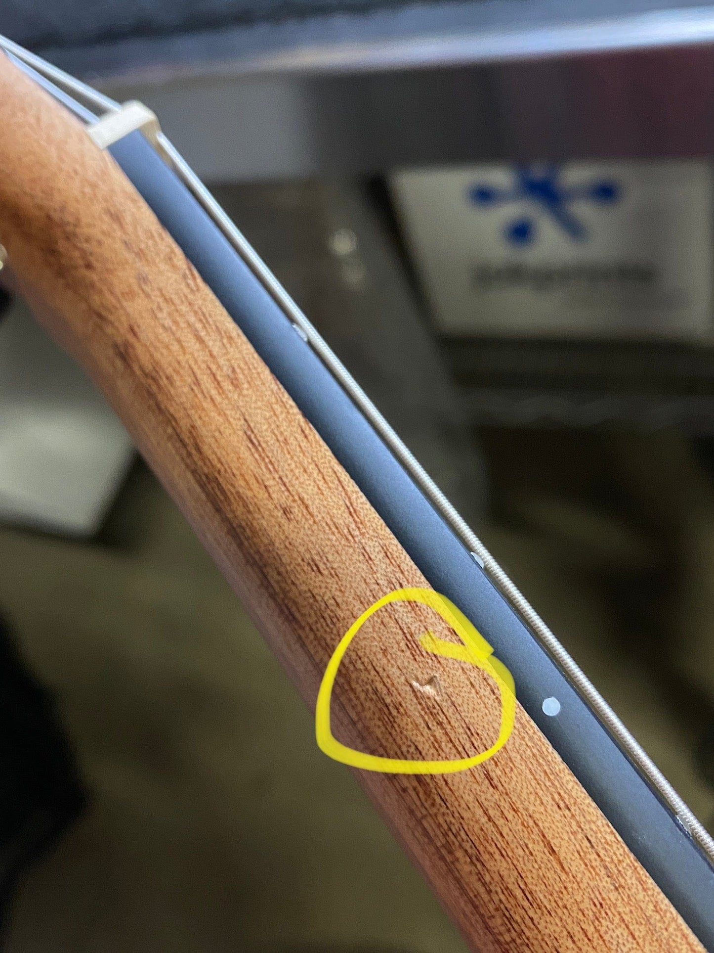 Cordoba Mini II EB-CE Spruce/Striped Ebony w/Pickup & On-Board Tuner Acoustic Guitars / Mini/Travel