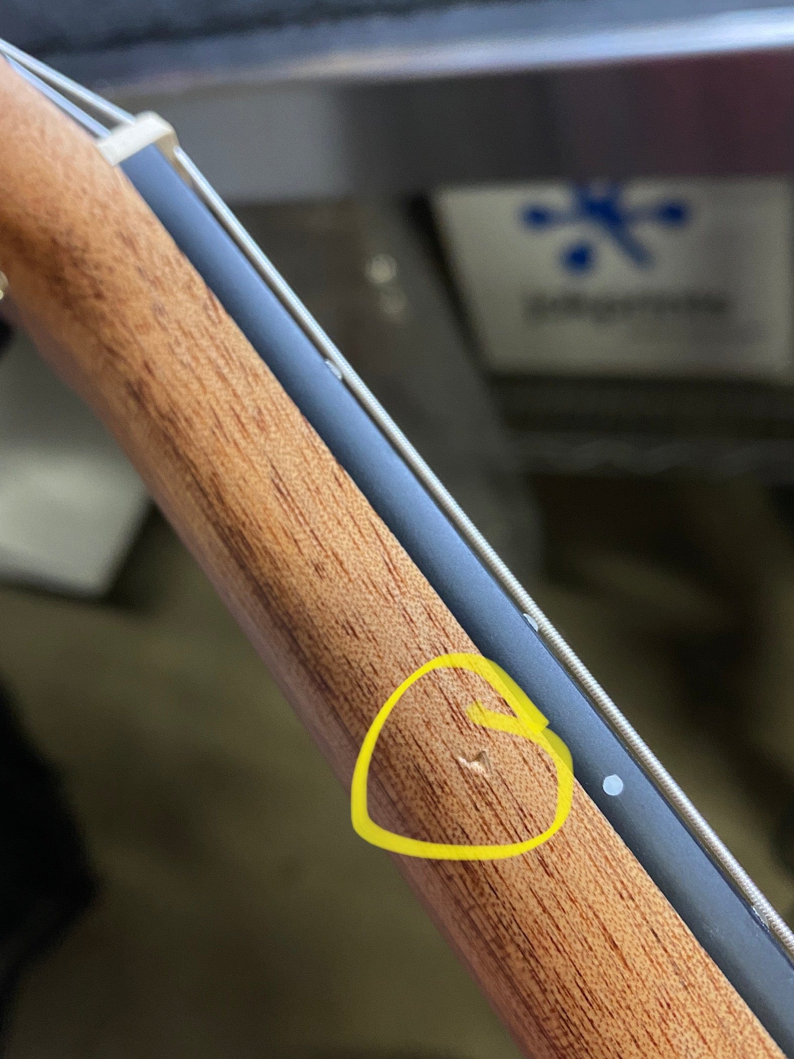 Cordoba Mini II EB-CE Spruce/Striped Ebony w/Pickup & On-Board Tuner Acoustic Guitars / Mini/Travel