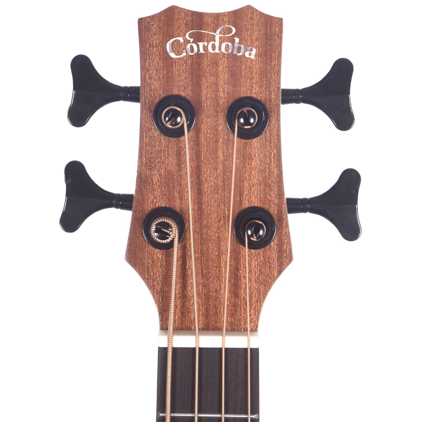 Cordoba Mini II Bass MH-E Mahogany w/Electronics Bass Guitars / Acoustic Bass Guitars