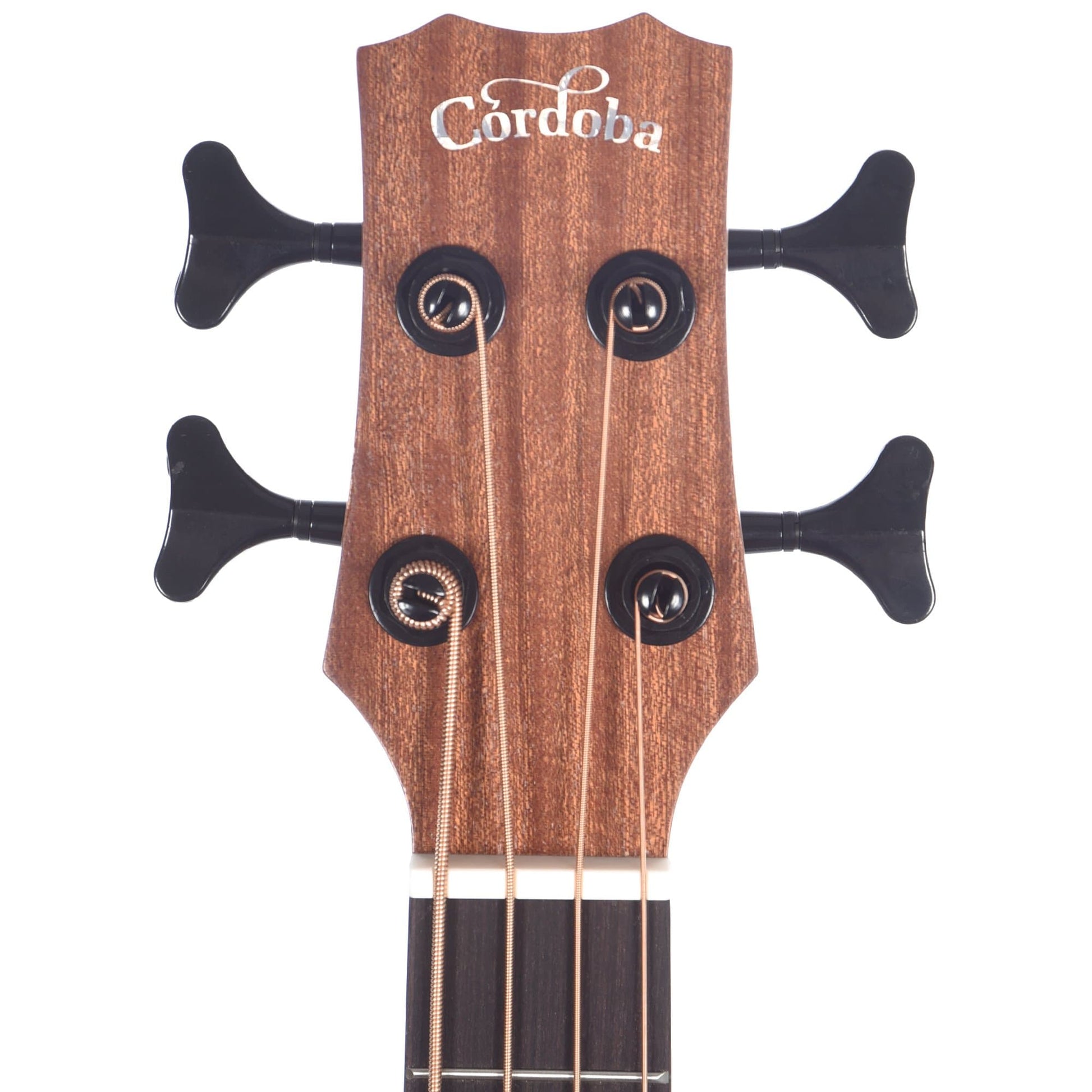 Cordoba Mini II Bass MH-E Mahogany w/Electronics Bass Guitars / Acoustic Bass Guitars