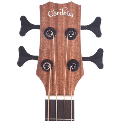 Cordoba Mini II Bass MH-E Mahogany w/Electronics Bass Guitars / Acoustic Bass Guitars