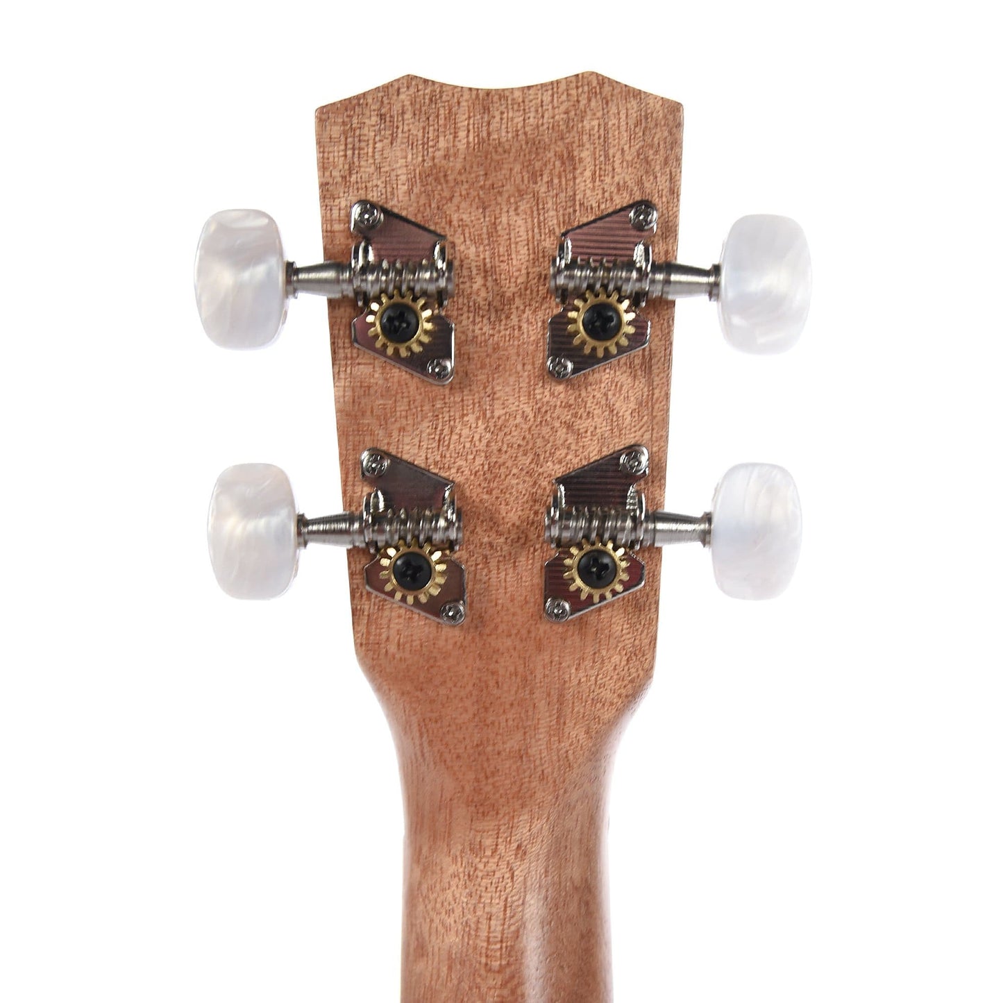 Cordoba 15CM-E Edge Burst Concert Acoustic/Electric Ukulele Folk Instruments / Ukuleles