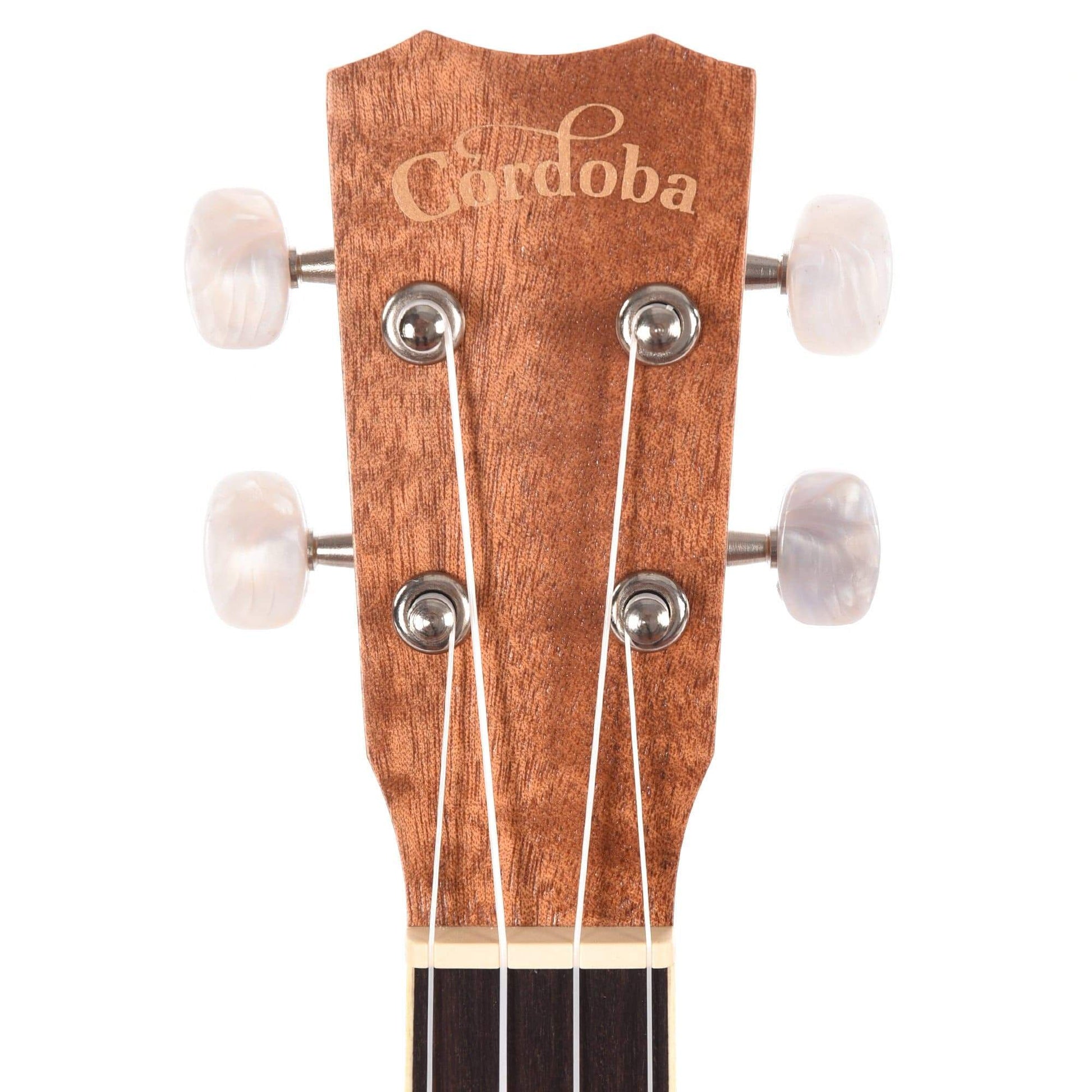 Cordoba 15CM Mahogany Concert Ukulele Folk Instruments / Ukuleles