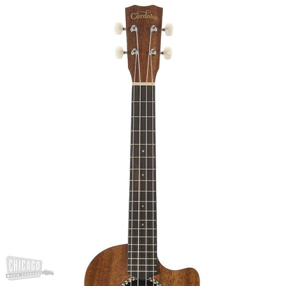 Cordoba 20TM-CE Tenor Ukulele Folk Instruments / Ukuleles