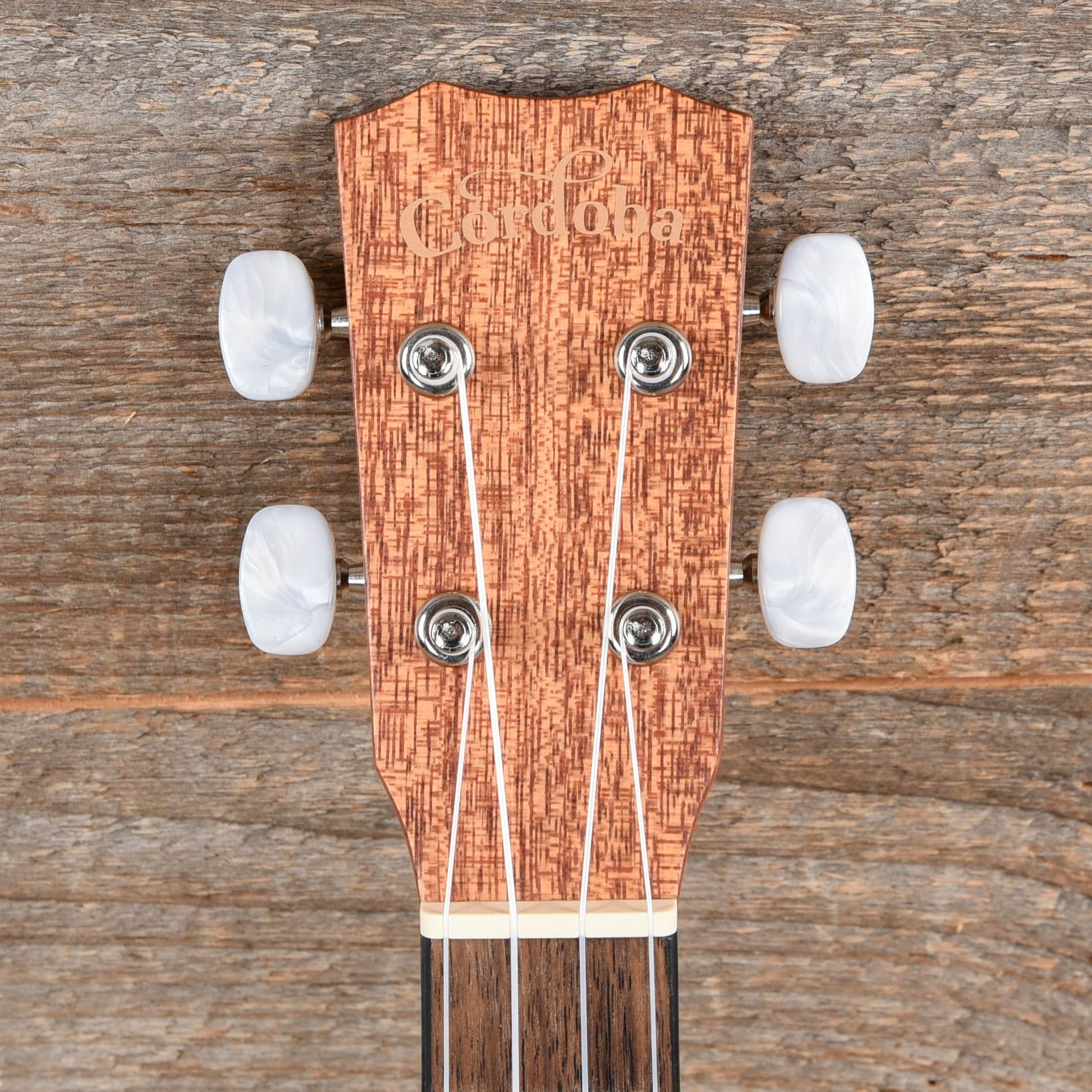 Cordoba 20TM-CE Tenor Ukulele Folk Instruments / Ukuleles