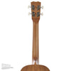 Cordoba 20TM Tenor Ukulele Folk Instruments / Ukuleles