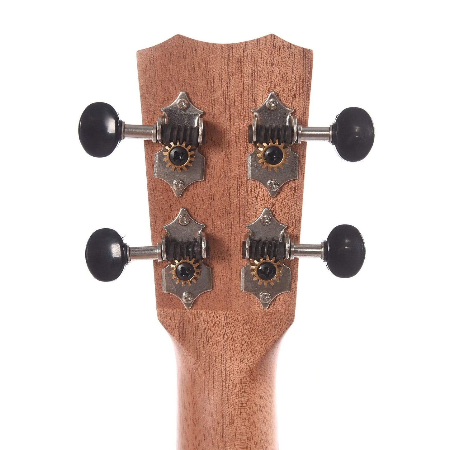 Cordoba 21S Soprano Ukulele Exotic Striped Ebony Folk Instruments / Ukuleles