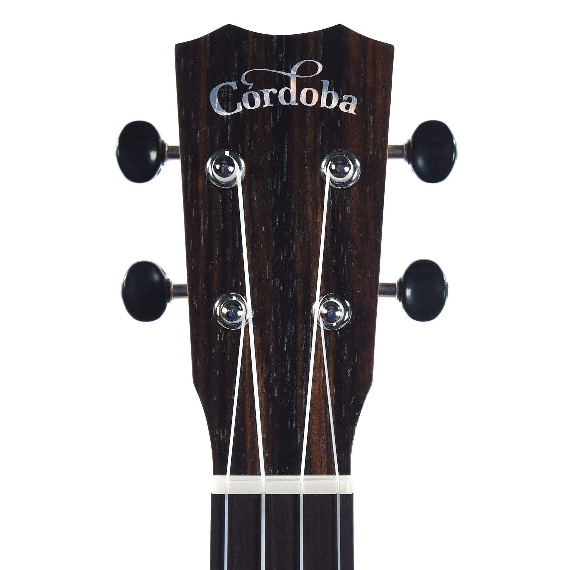 Cordoba 21T Tenor Ukulele Exotic Striped Ebony Folk Instruments / Ukuleles
