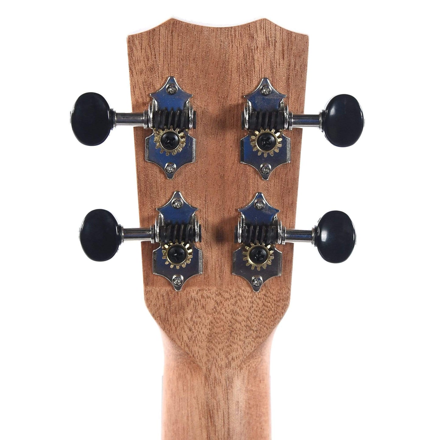 Cordoba 21T Tenor Ukulele Exotic Striped Ebony Folk Instruments / Ukuleles