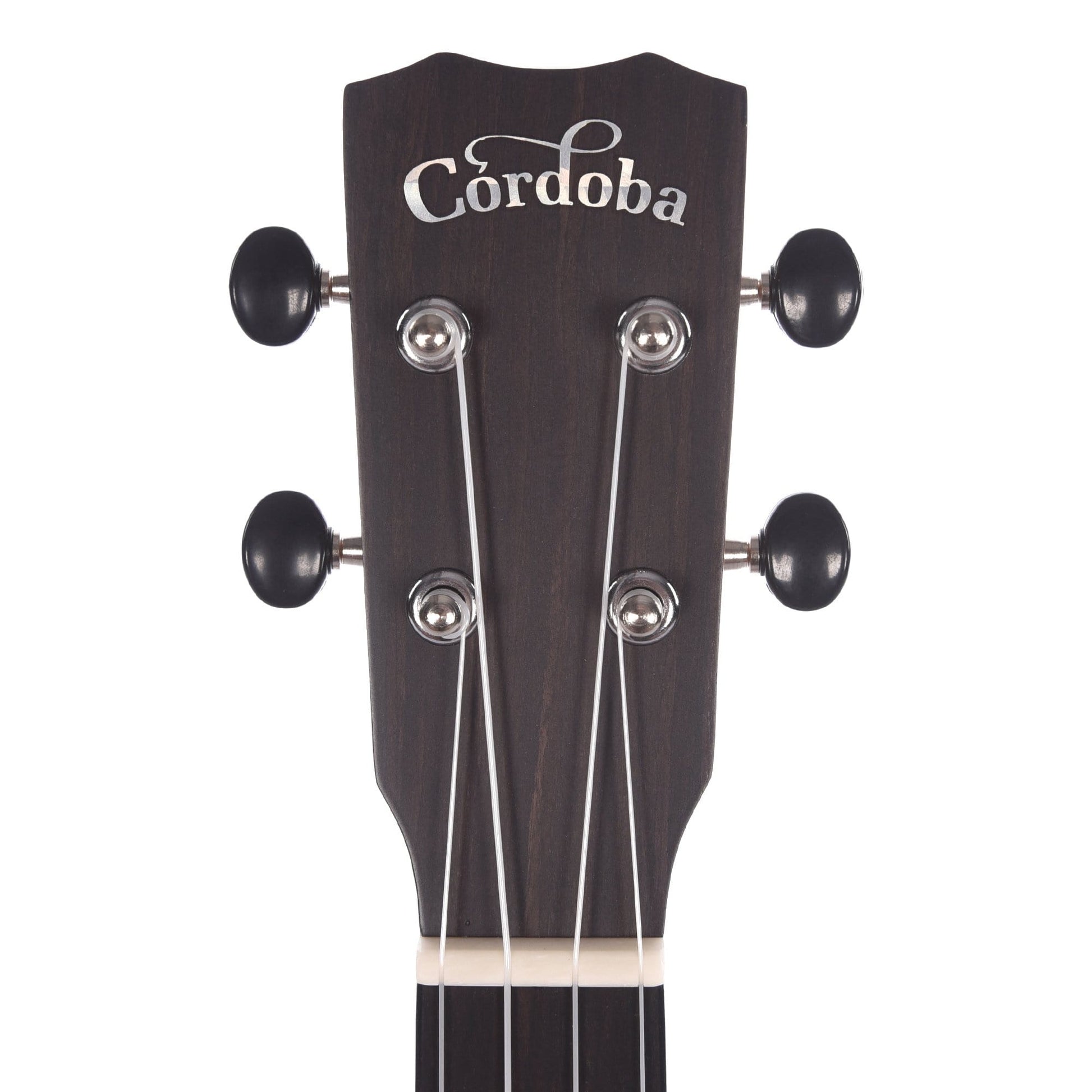 Cordoba 25C Concert Ukulele Solid Acacia Top Folk Instruments / Ukuleles
