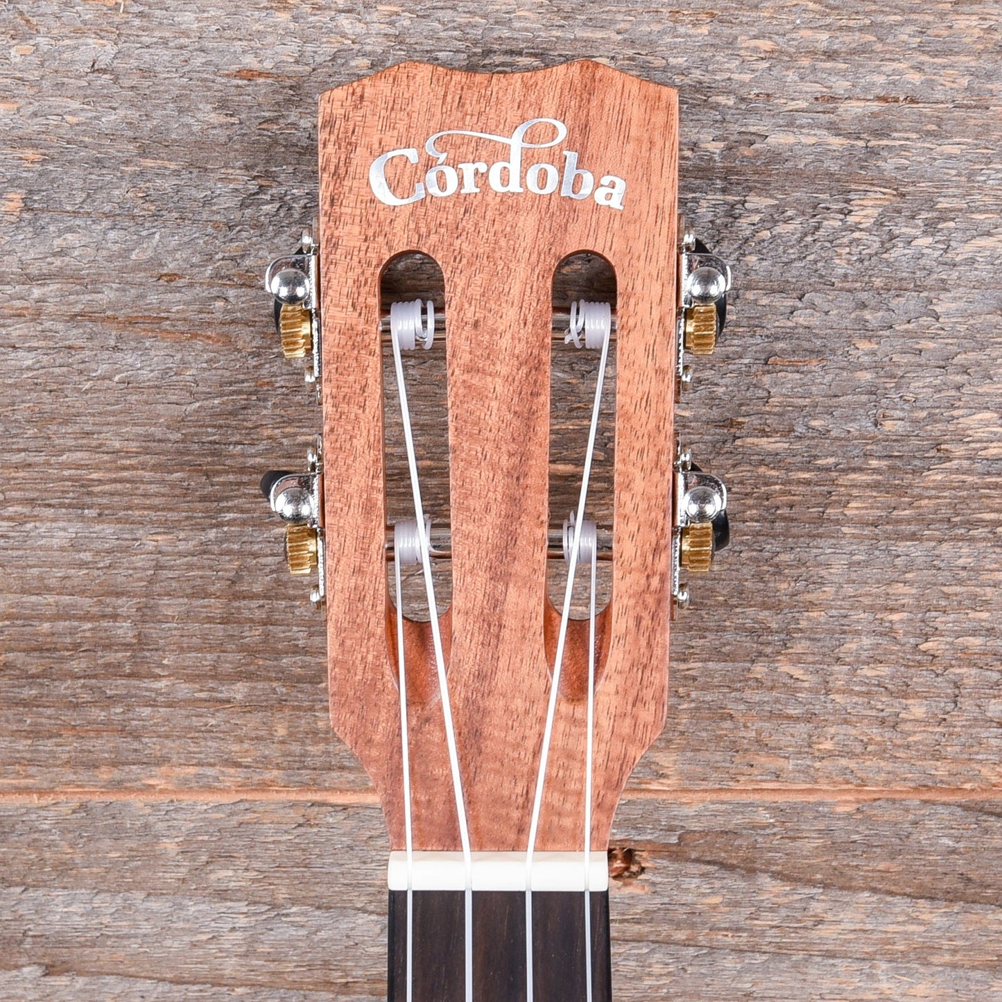 Cordoba 28T Hawaiian Koa Tenor Ukulele Folk Instruments / Ukuleles