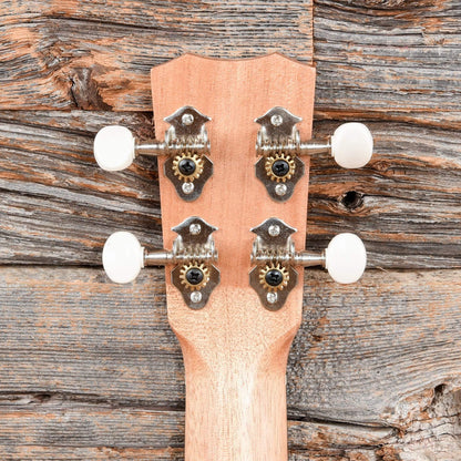 Cordoba Protege U1MS Soprano Ukulele Folk Instruments / Ukuleles