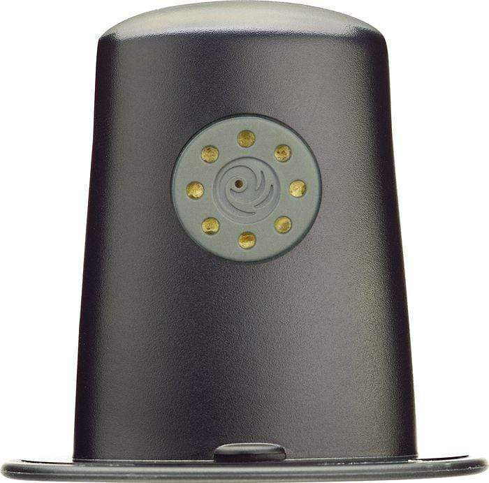 D'Addario Acoustic Guitar Humidifier Chicago Music Exchange