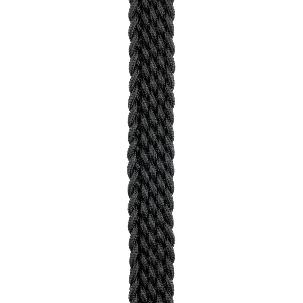 D'Addario 1