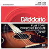 D'Addario EFT17 Acoustic Flat Top Phosphor Bronze Medium 13-56 Accessories / Strings / Guitar Strings