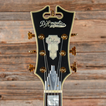 D'Angelico Deluxe EXL-1 Hollow Body Archtop Matte Plum 2017 Electric Guitars / Hollow Body